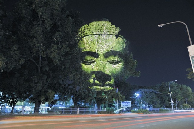clementbriendcambodiantrees7