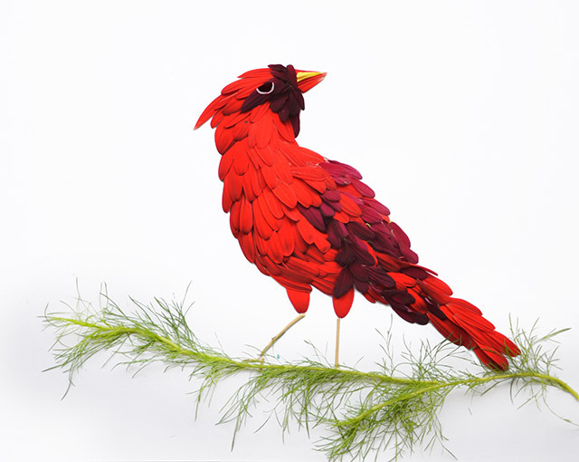 birds-9