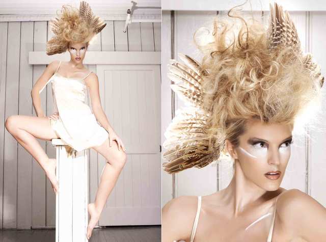 Feathers