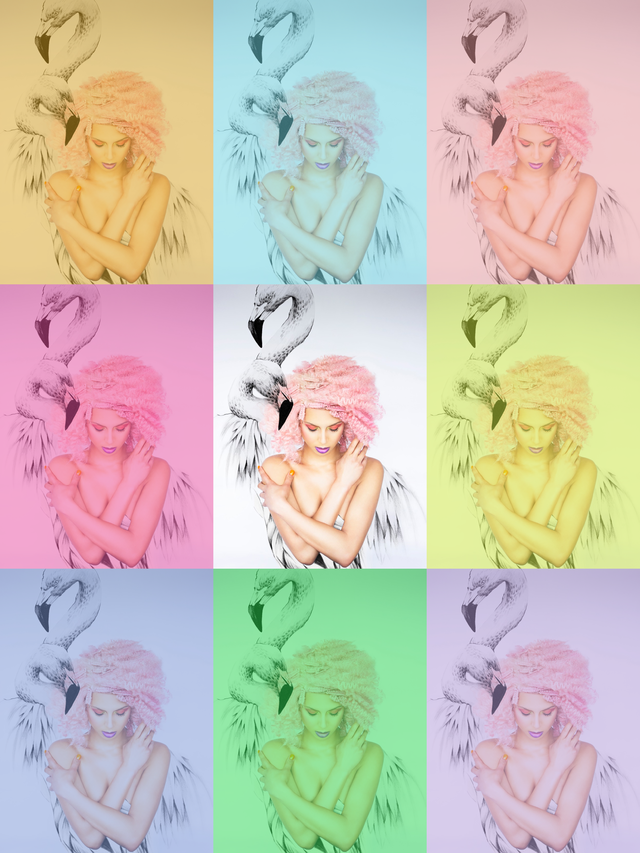 Tropic Of Colours 