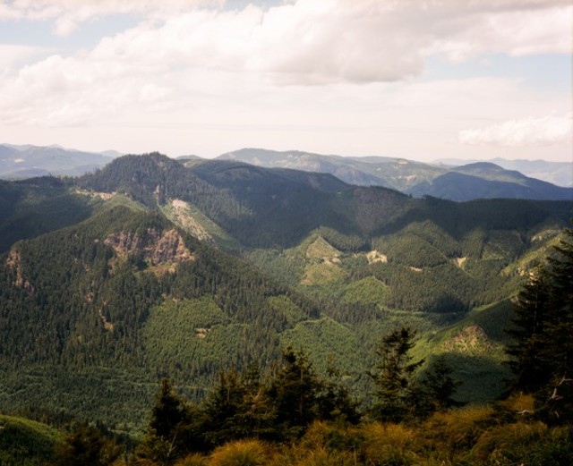Filson_LookoutProject-07100006-608x495
