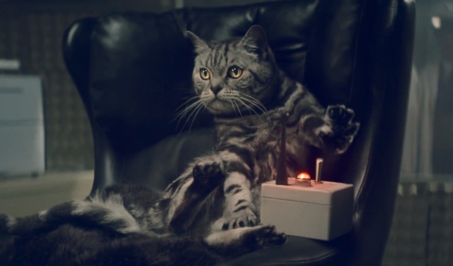 Thumbcat