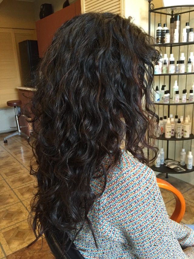 OUIDAD CURLS