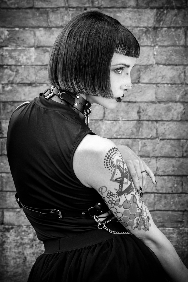Gothic Punk Collection