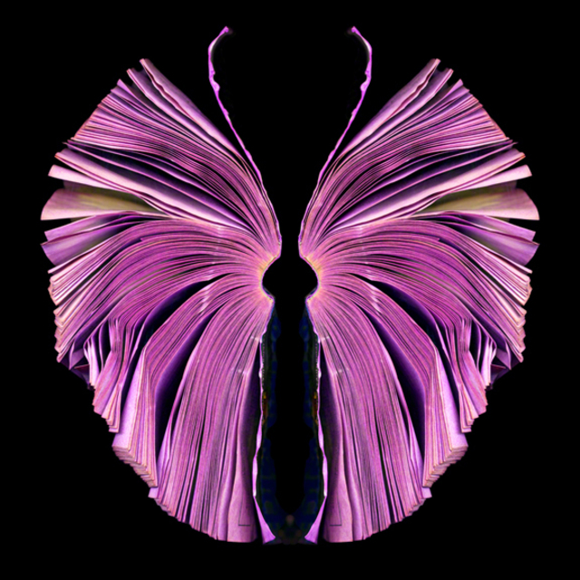 Pink Butterfly