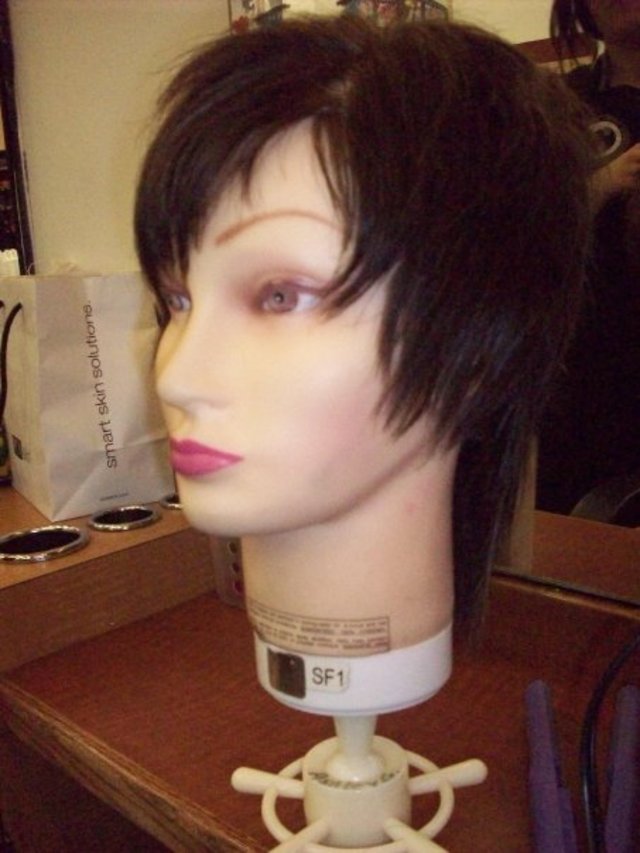 Mannequin practice