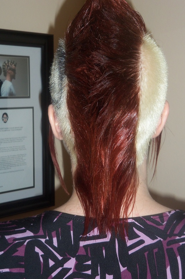 Trekkie-Hawk