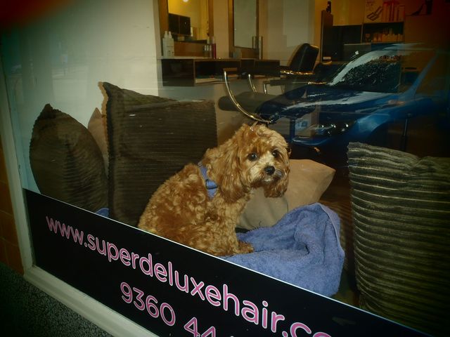 Small Clients and the small things that make us smile - Super Deluxe Hair, Sydney