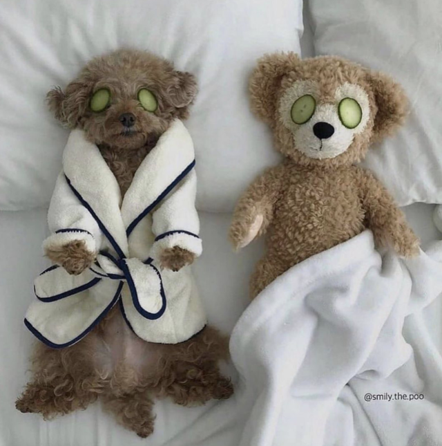 Re sized 2b88d189b9e1e0e72945 screen shot 2021 10 05 at 3.44.38 pm