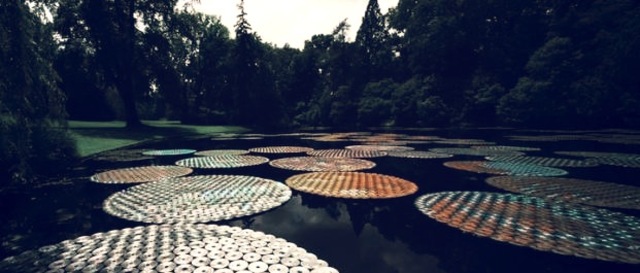 Bruce Munro Spotlight