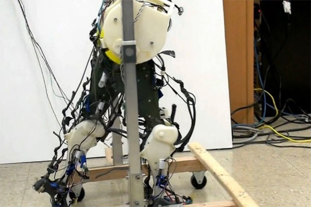 walking-leg-07-06-12-01