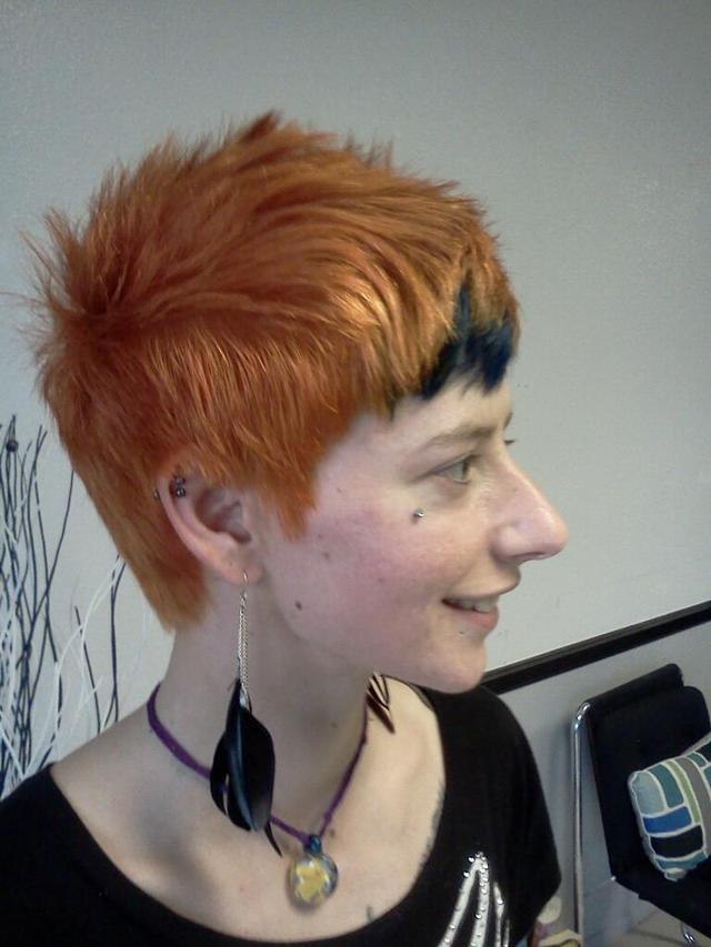 side view pixie hawk