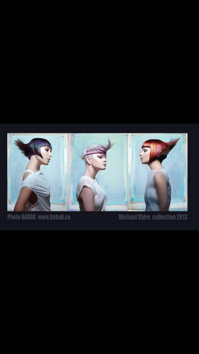 Canadian Colourist Collection - 2013 