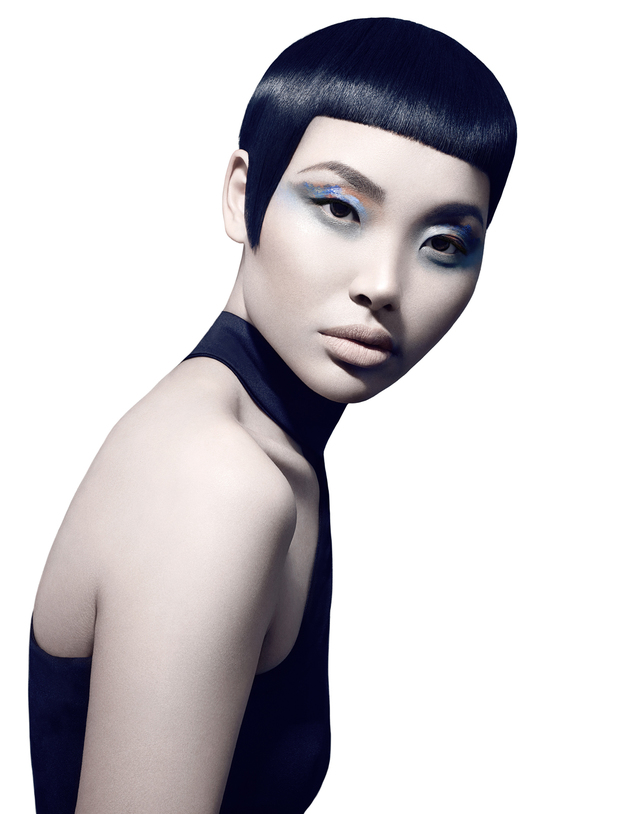 2017 NAHA Master Stylist of the Year Finalist 