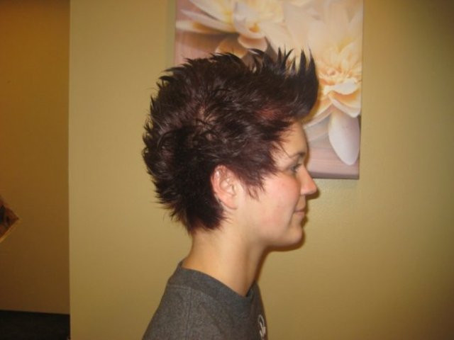 Razor Hawk