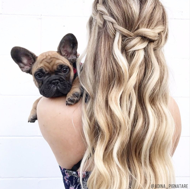 Re sized 3006d83554ab249a603d redkennye