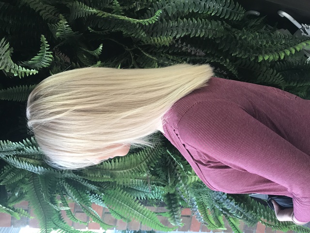  Blondie