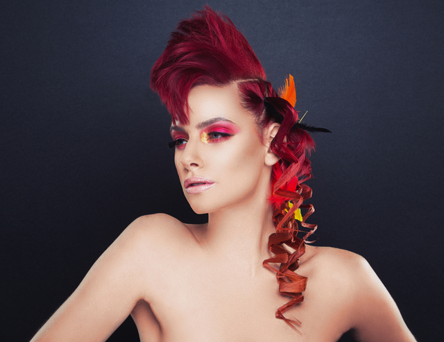NAHA 2015 Submission  Oana 1