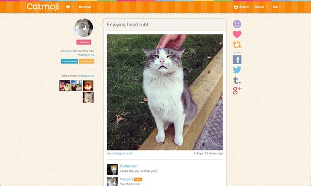 catmoji-social-network-2