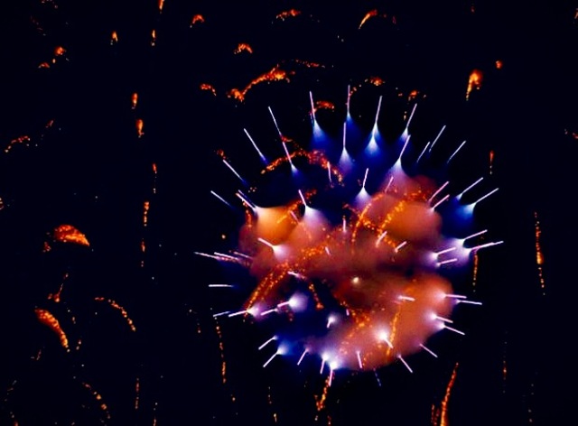 Long Exposure Fireworks