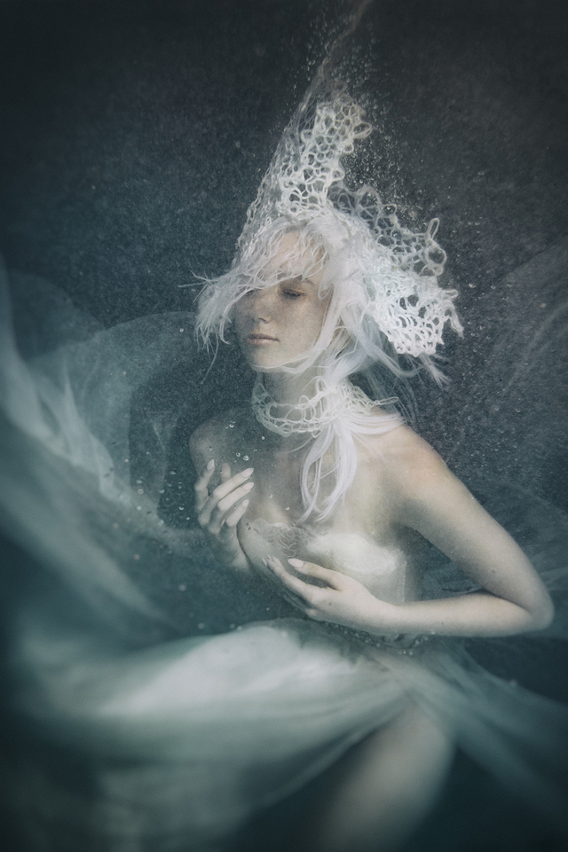 2017 NAHA Avant Garde Finalist