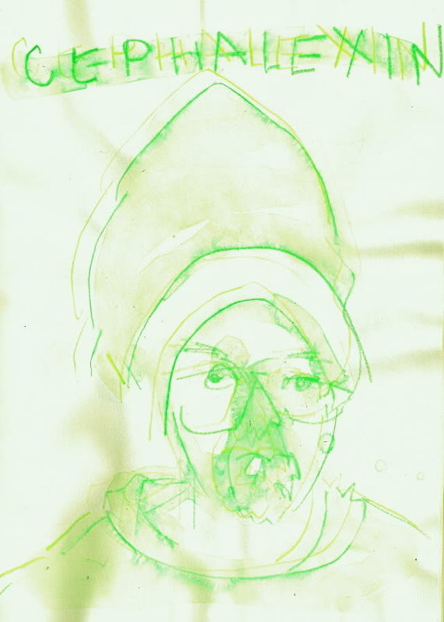 Cephalexin