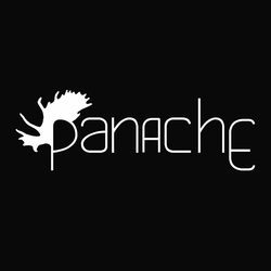 Re sized 37b7de8a6b97b1c8ecf7 panache logosquare