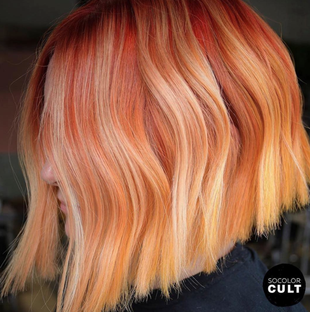 Re sized 38045900ff012790b573 screen shot 2019 03 01 at 3.56.20 pm