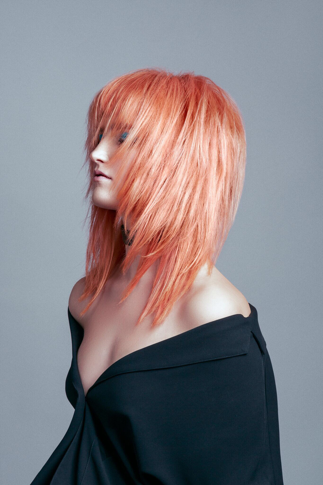 La Biosthetique beauty stylist entry 2016