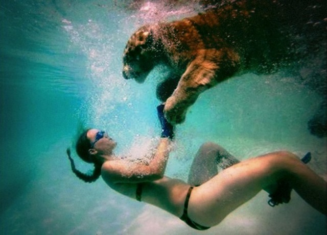 worlds craziest zoo