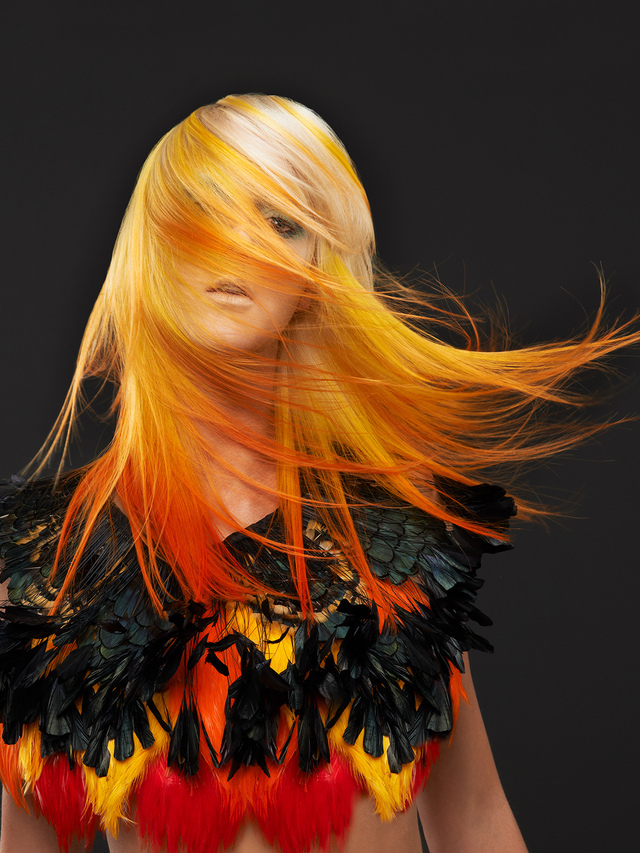 New Editorial Work