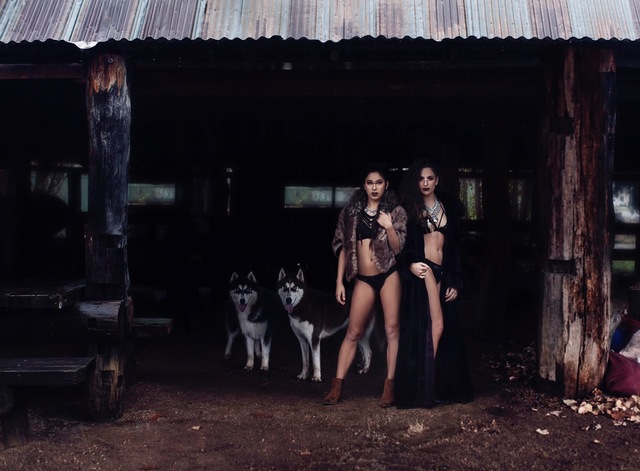 "Wild" gilded magazIne