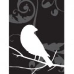 Re sized 3c622242811fcae780a5384246cba320 ava