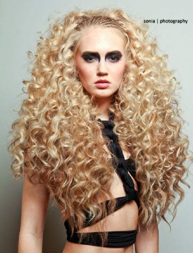 Lioness 