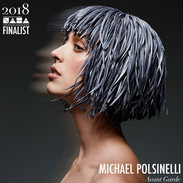 Re sized 3dd5b76546c7c64a156d michael polsinelli