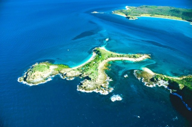 pumpkin-island-590