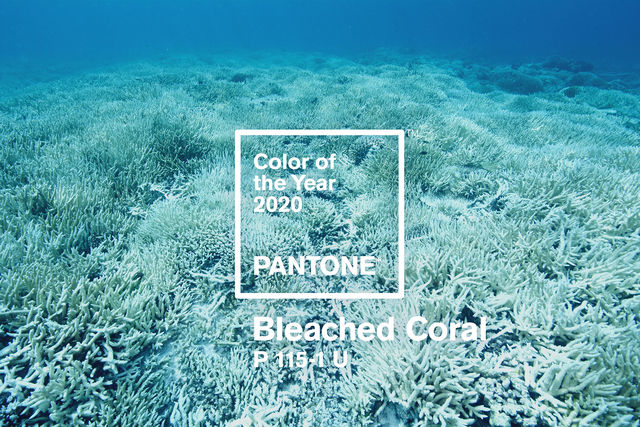 Re sized 3ec08bd4ae1d7c649174 jack huei coloroftheyear opener
