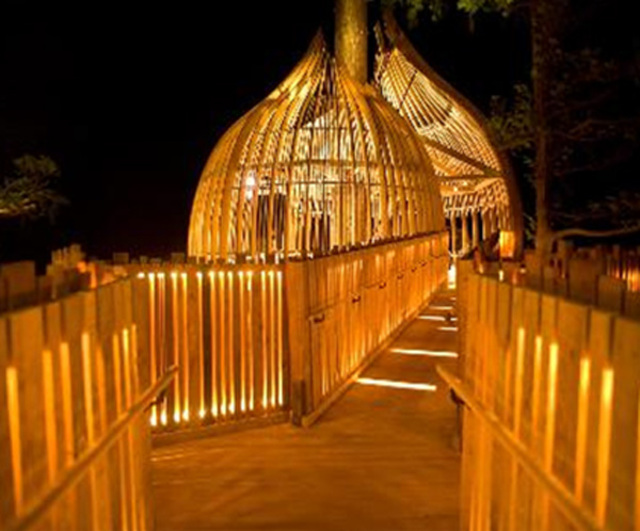 treehouserestaurantwalkway