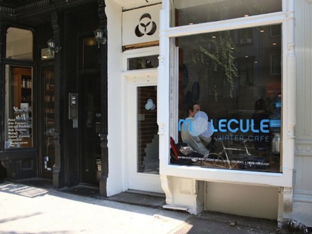 moleculecafe-5