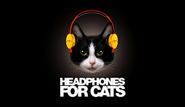 Cat Headphones