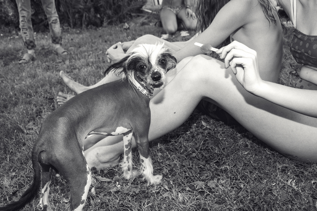 Photographer Sam Itzhakov Styling Hila Gerby Hair Kosta Vino