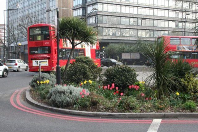 Guerilla-gardening-1