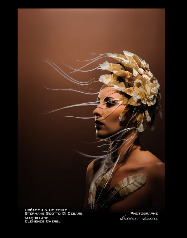 indian feather
