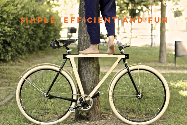 BSGWoodBikes1