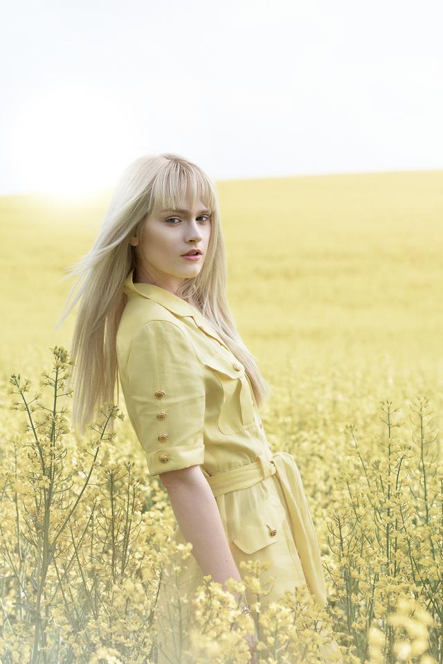 Summer feeling in a rape field