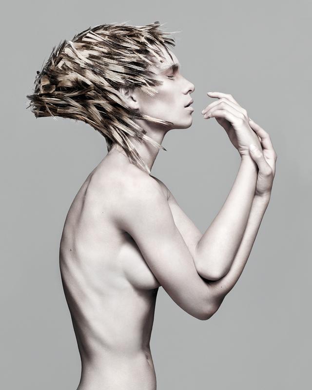 BHA Avant Garde Nominee