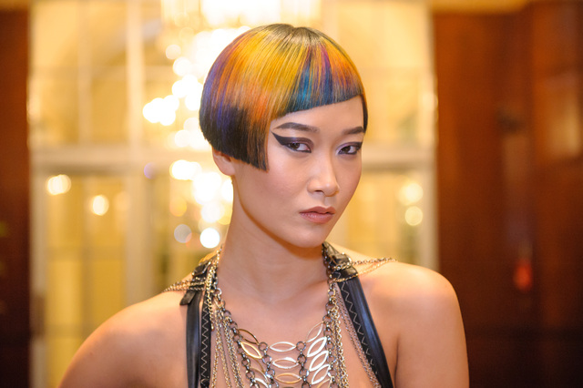 Intercoiffure ICON'S of Color Award Sue Pemberton's Model