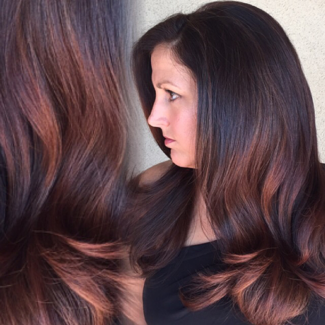Chocolate Copper Brown