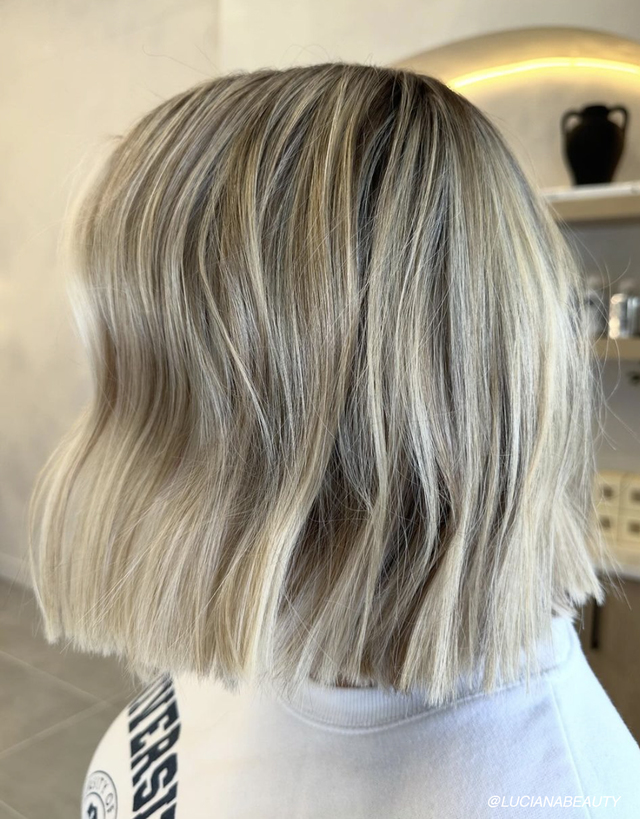 Re sized 4a1110d3b42d127b65de princess bob