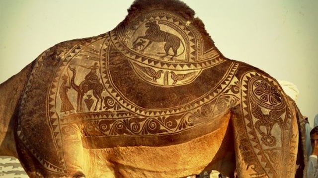 camelartbikanerfestival